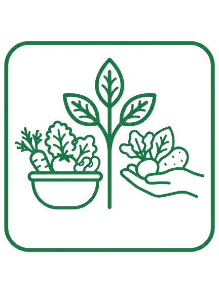 icono materias primas origen vegetal